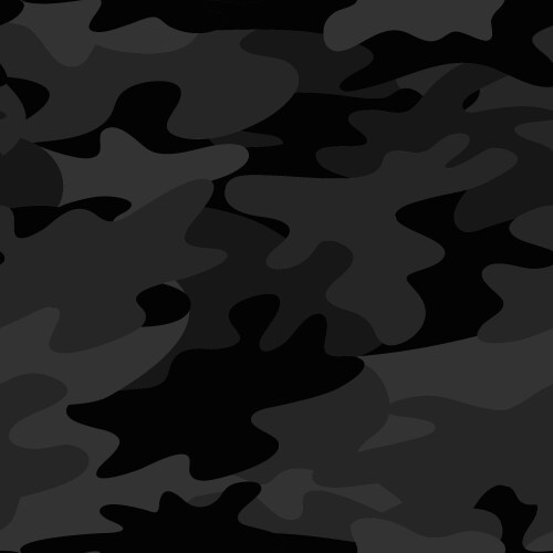 Seamless camouflage pattern military background vector image