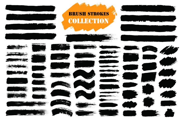 Brush strokes text boxes vector image