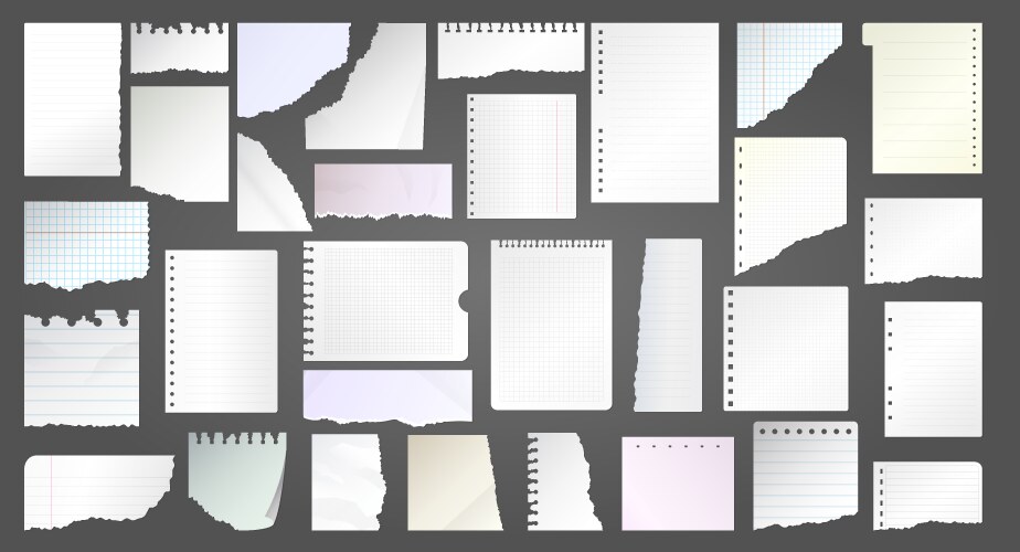 Diary papers stripped notes template vector image