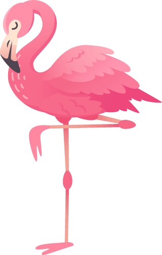 Graceful pink flamingo standing on one leg vector image