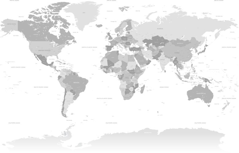 High detail grey world map vector image