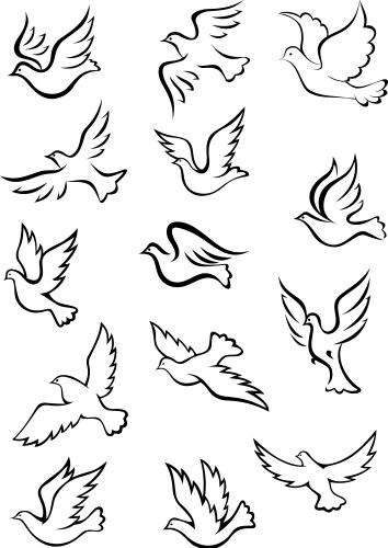 Outline graceful dove and pigeon birds vector image