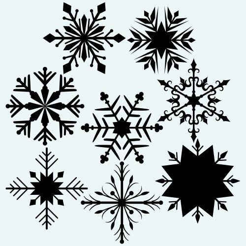 Set snowflake vector image