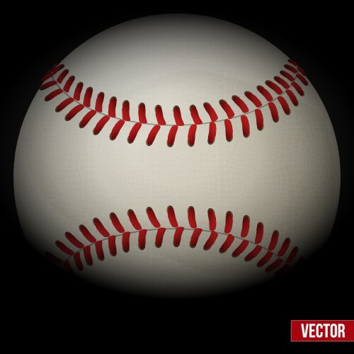 Background of baseball leather ball various sides vector image