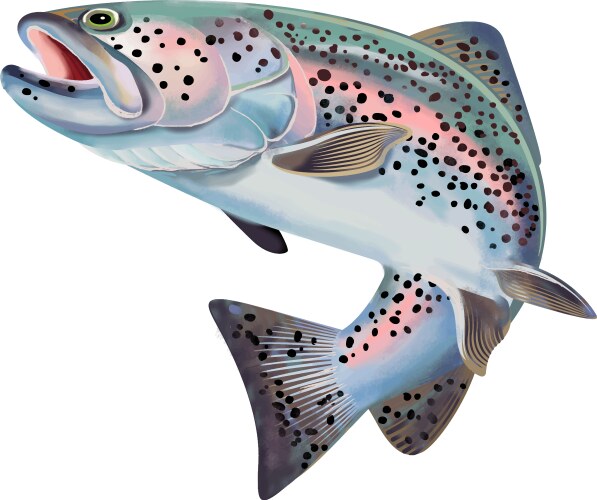 trout fish colorful vector image