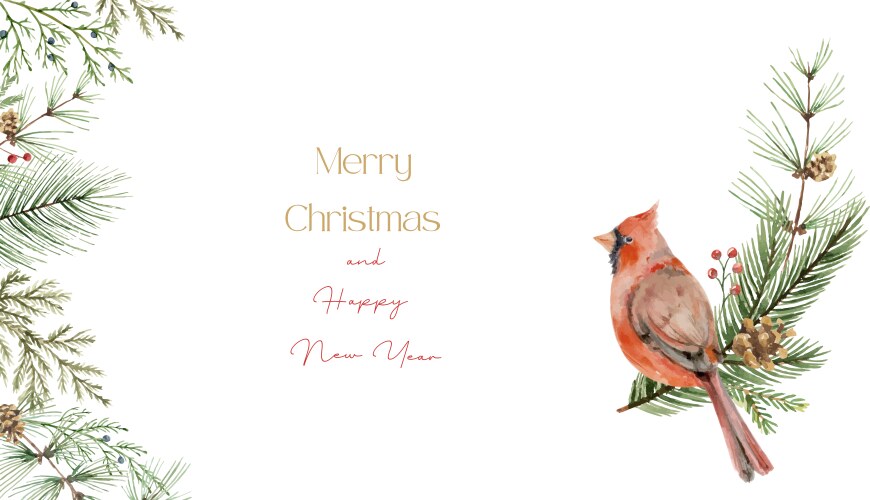 Watercolor christmas card with cardinal vector image