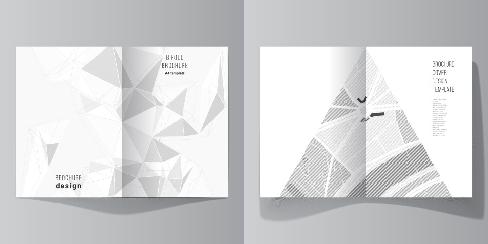 Layout two a4 format modern cover vector image