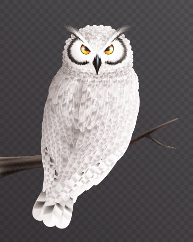 Realistic snowy owl composition vector image