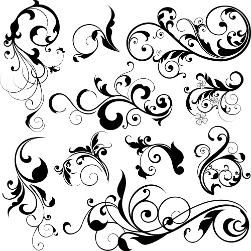 floral elements vector image