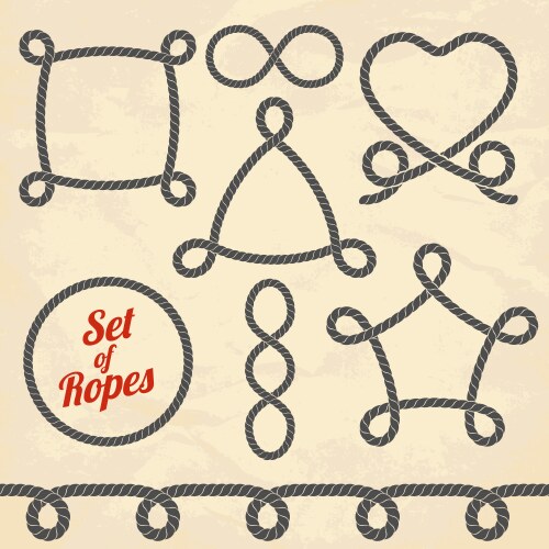 Set of ropes vector image