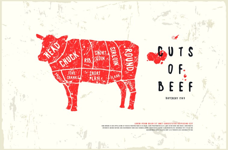 Stock beef cuts diagram vector image