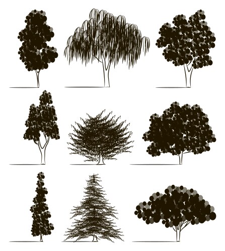 Trees sketch set vector image