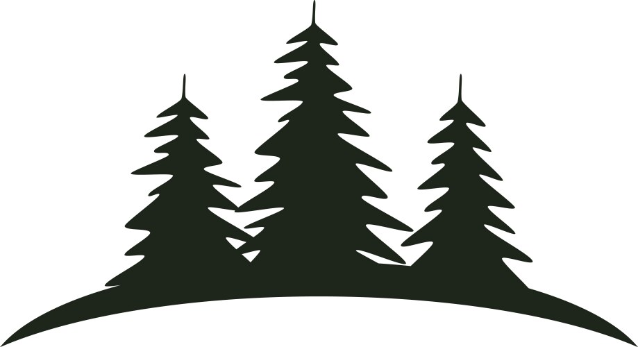 forest fir trees vector image