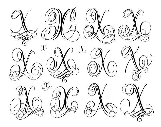 Calligraphy lettering script font x set hand vector image