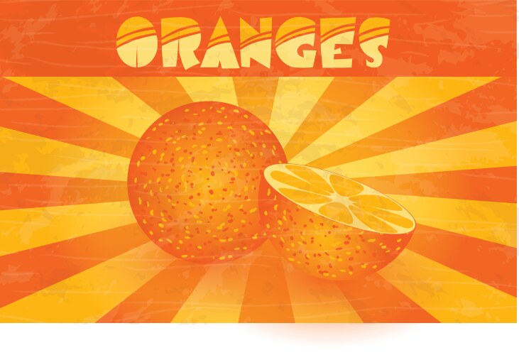 oranges vector image