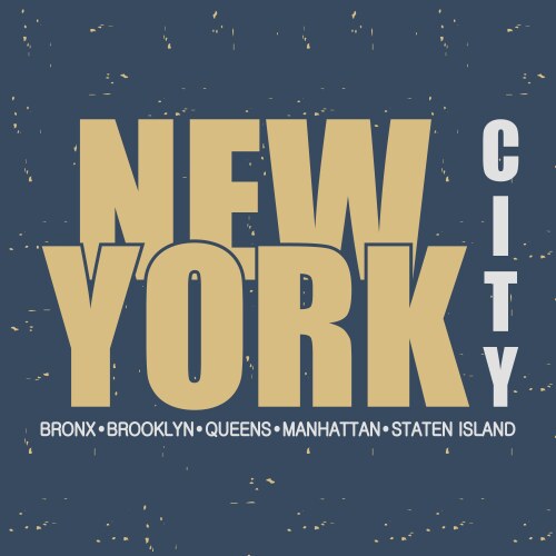 New york nyc vector image