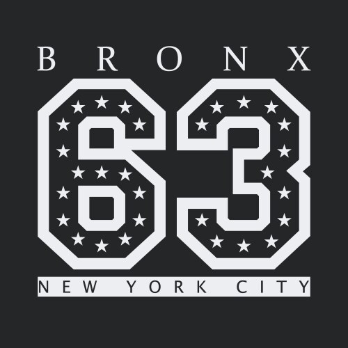 bronx new york vector image