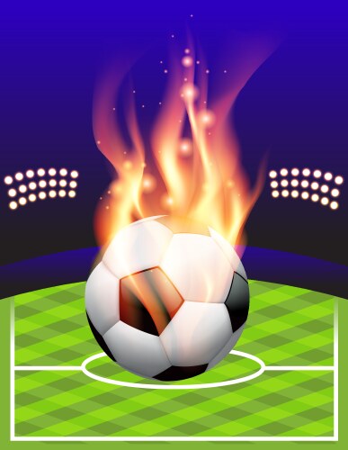 fire soccer field vector image