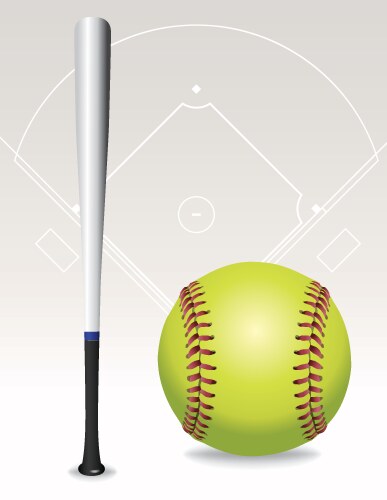 softball and bat vector image