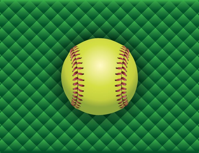 softball checkered background vector image