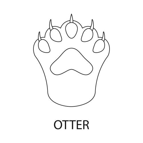 isolated object otter and paw icon set vector image