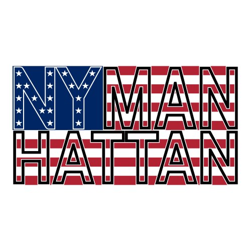 Nyc manh color vector image