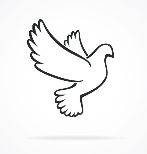 Beautiful white peace dove outline vector image