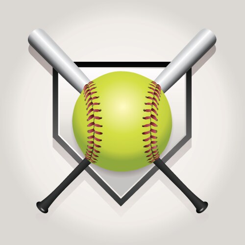 Softball bat plate vector image