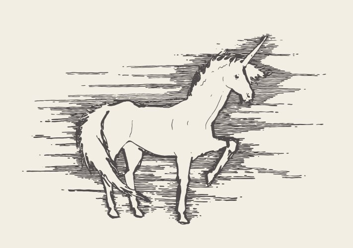 beautiful unicorn wind sketch vector image