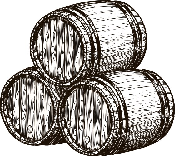 Wooden wine barrels winemaking cellar vector image