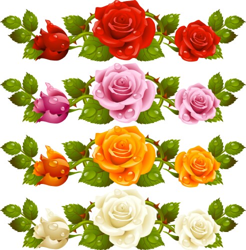 Rose horizontal vignette vector image