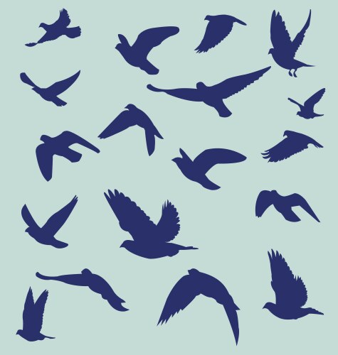 Silhouetted flying bird vector image