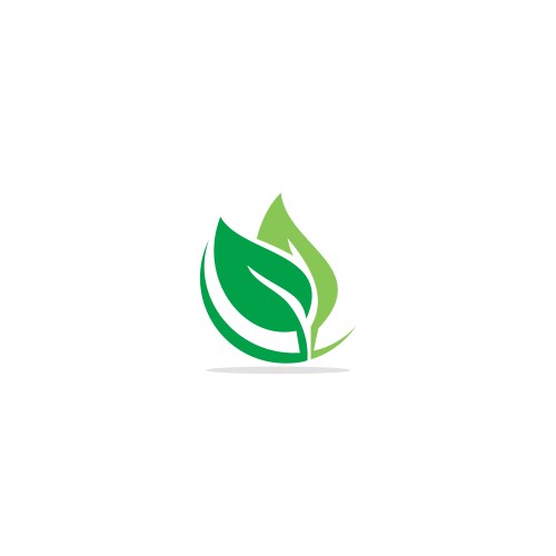 green leaf eco logo vector image