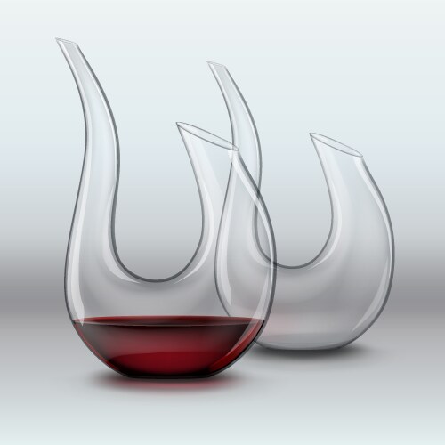 Two graceful decanters vector image