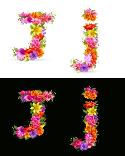 Flower font vector image