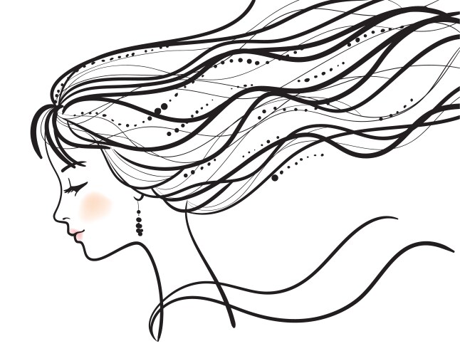 beautiful woman face silhouette vector image