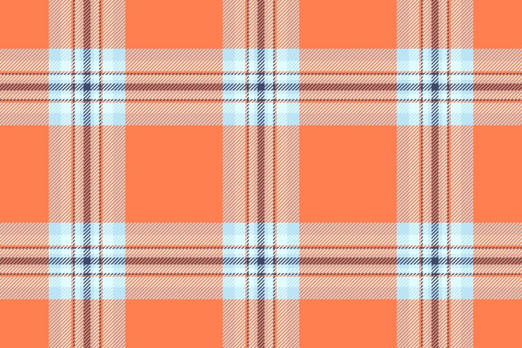 Masculine pattern tartan nyc fabric background vector image