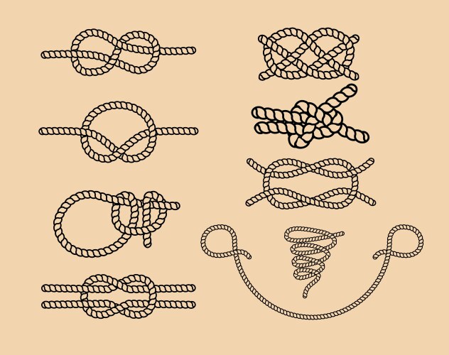 Knots set vector image