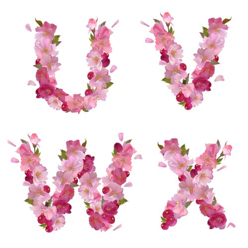 Spring alphabet with cherry flowers uvwx vector image