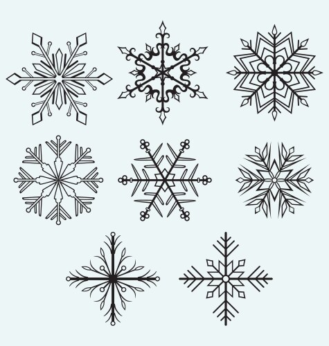 Snowflake winter vector image