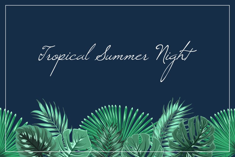 Tropical summer night header footer midnight blue vector image