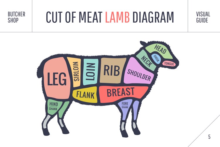 Cut of beef set poster butcher diagram and scheme vector image