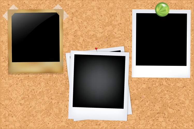 Cork board with photos vector image