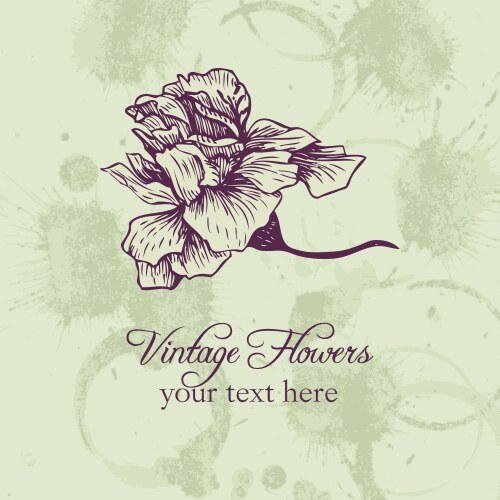 Vintage floral card vector image