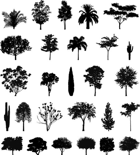 Tree silhouettes vector image