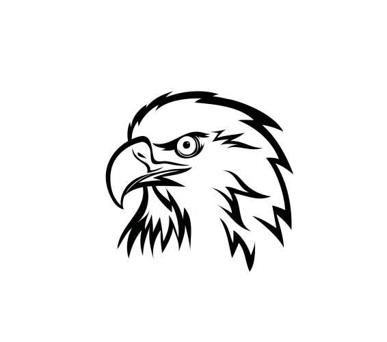 Eagle face vector image