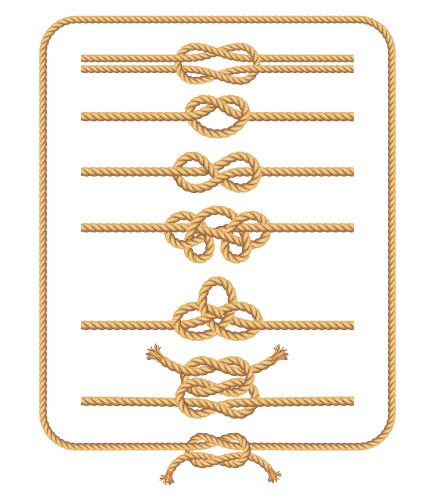 rope knots collection vector image