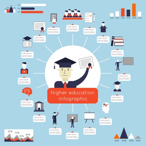 higher education infographics vector image