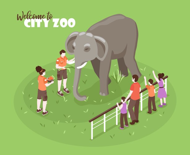 elephant zoo isometric background vector image