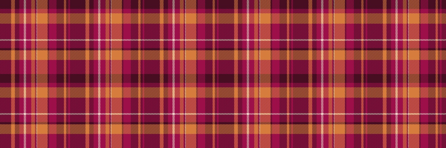 Nyc check background textile checked tartan vector image